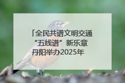全民共谱文明交通“五线谱”新乐章 丹阳举办2025年“文明交通 同心同行”主题宣传活动