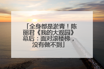 全身都是淤青！陈丽君《我的大观园》幕后：面对滚楼梯，没有做不到