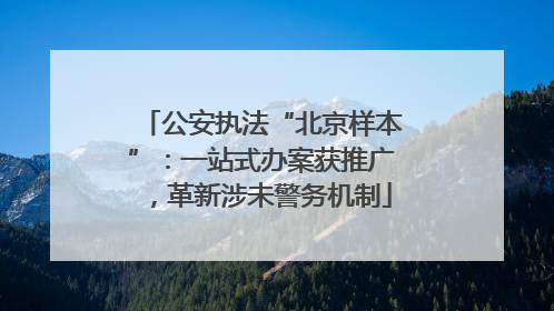 公安执法“北京样本”：一站式办案获推广，革新涉未警务机制