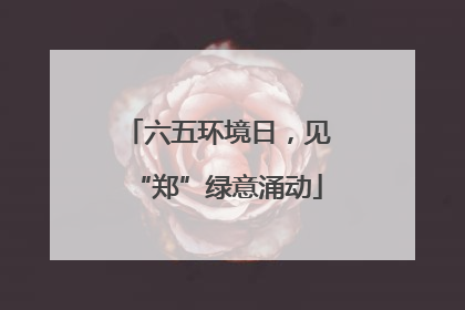 六五环境日，见“郑”绿意涌动