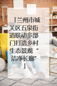 兰州市城关区五泉街道联动多部门打造乡村生态景观“洁净长廊”