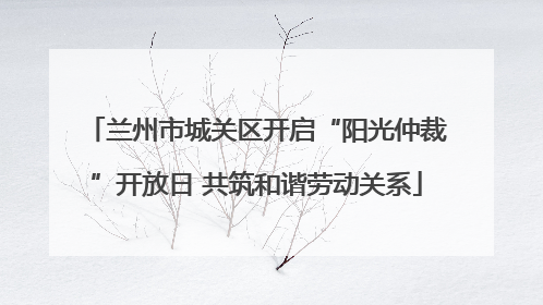 兰州市城关区开启“阳光仲裁”开放日 共筑和谐劳动关系