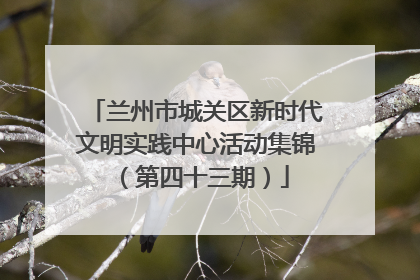兰州市城关区新时代文明实践中心活动集锦（第四十三期）