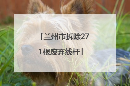 兰州市拆除271根废弃线杆