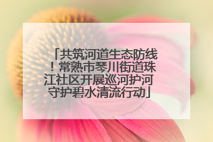 共筑河道生态防线！常熟市琴川街道珠江社区开展巡河护河守护碧水清流行动