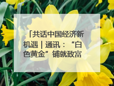 共话中国经济新机遇｜通讯：“白色黄金”铺就致富路——中国技术助力科特迪瓦橡胶产业增产增效