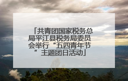 共青团国家税务总局平江县税务局委员会举行“五四青年节”主题团日活动
