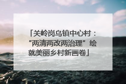关岭岗乌镇中心村：“两清两改两治理”绘就美丽乡村新画卷