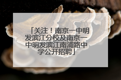 关注！南京一中明发滨江分校及南京一中明发滨江南浦路中学公开招聘