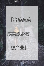 冷凉蔬菜成高原乡村热产业