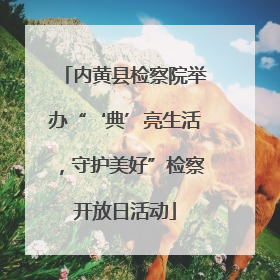 内黄县检察院举办“‘典’亮生活，守护美好”检察开放日活动