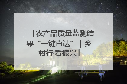 农产品质量监测结果“一键直达”｜乡村行·看振兴