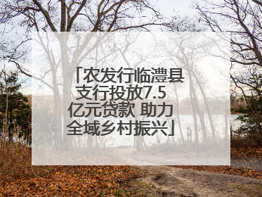 农发行临澧县支行投放7.5亿元贷款 助力全域乡村振兴