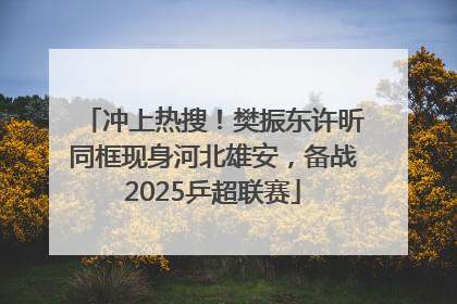 冲上热搜！樊振东许昕同框现身河北雄安，备战2025乒超联赛
