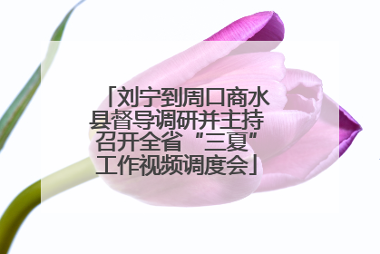 刘宁到周口商水县督导调研并主持召开全省“三夏”工作视频调度会