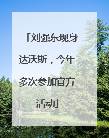 刘强东现身达沃斯，今年多次参加官方活动