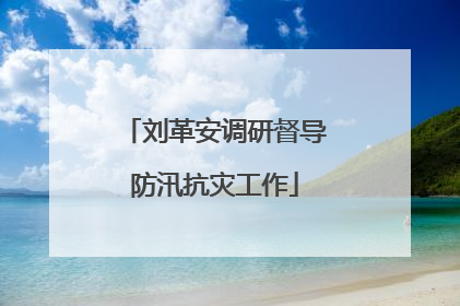 刘革安调研督导防汛抗灾工作