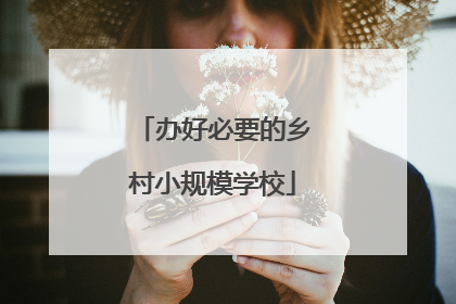 办好必要的乡村小规模学校