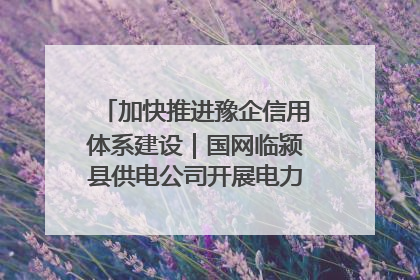 加快推进豫企信用体系建设｜国网临颍县供电公司开展电力行业信用企业现场咨询访谈工作