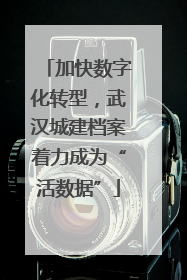 加快数字化转型，武汉城建档案着力成为“活数据”