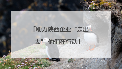 助力陕西企业“走出去” 他们在行动