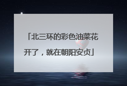 北三环的彩色油菜花开了，就在朝阳安贞