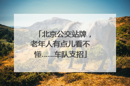 北京公交站牌，老年人有点儿看不懂……车队支招