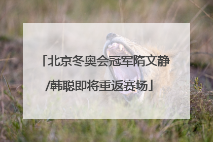 北京冬奥会冠军隋文静/韩聪即将重返赛场