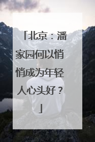 北京：潘家园何以悄悄成为年轻人心头好？
