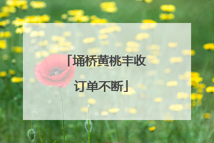 埇桥黄桃丰收 订单不断