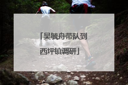吴毓舟带队到西坪镇调研