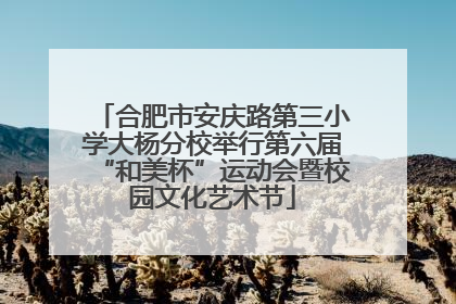 合肥市安庆路第三小学大杨分校举行第六届“和美杯”运动会暨校园文化艺术节