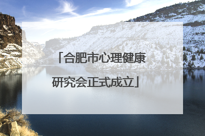 合肥市心理健康研究会正式成立