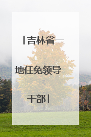 吉林省一地任免领导干部