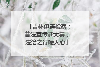 吉林伊通检察：普法宣传赶大集，法治之行暖人心