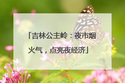 吉林公主岭：夜市烟火气，点亮夜经济