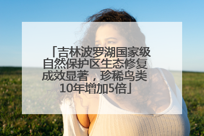 吉林波罗湖国家级自然保护区生态修复成效显著，珍稀鸟类10年增加5倍