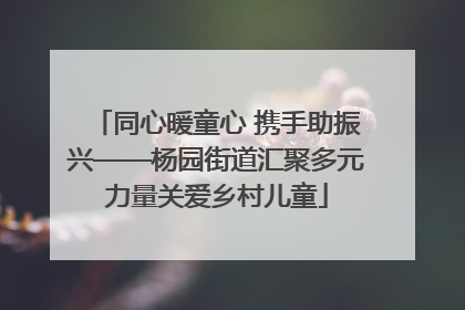 同心暖童心 携手助振兴——杨园街道汇聚多元力量关爱乡村儿童