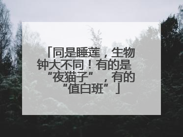 同是睡莲，生物钟大不同！有的是“夜猫子”，有的“值白班”