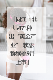 同江：北纬47°种出“黄金产业” 软枣猕猴桃9月上市