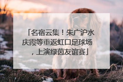 名宿云集！朱广沪水庆霞等重返虹口足球场，上演绿茵友谊赛