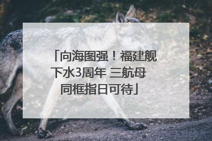 向海图强！福建舰下水3周年 三航母同框指日可待