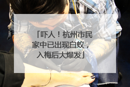 吓人！杭州市民家中已出现白蚁，入梅后大爆发