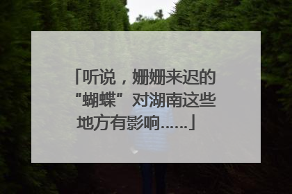 听说，姗姗来迟的“蝴蝶”对湖南这些地方有影响……