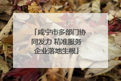 咸宁市多部门协同发力 精准服务企业落地生根