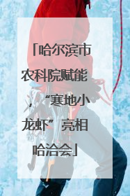 哈尔滨市农科院赋能，“寒地小龙虾”亮相哈洽会