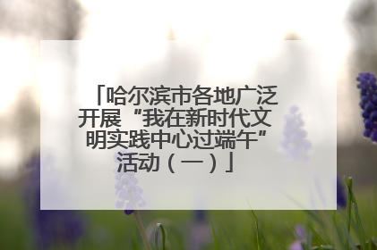 哈尔滨市各地广泛开展“我在新时代文明实践中心过端午”活动（一）