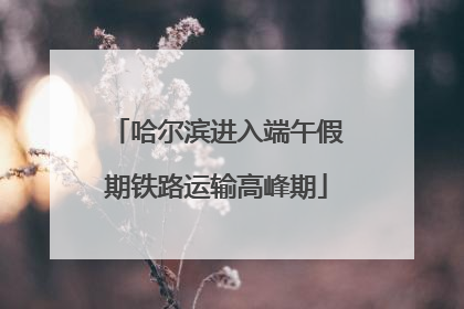 哈尔滨进入端午假期铁路运输高峰期