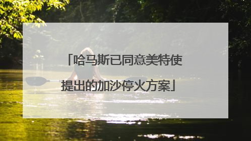 哈马斯已同意美特使提出的加沙停火方案