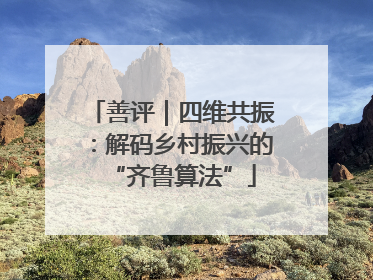 善评｜四维共振：解码乡村振兴的“齐鲁算法”